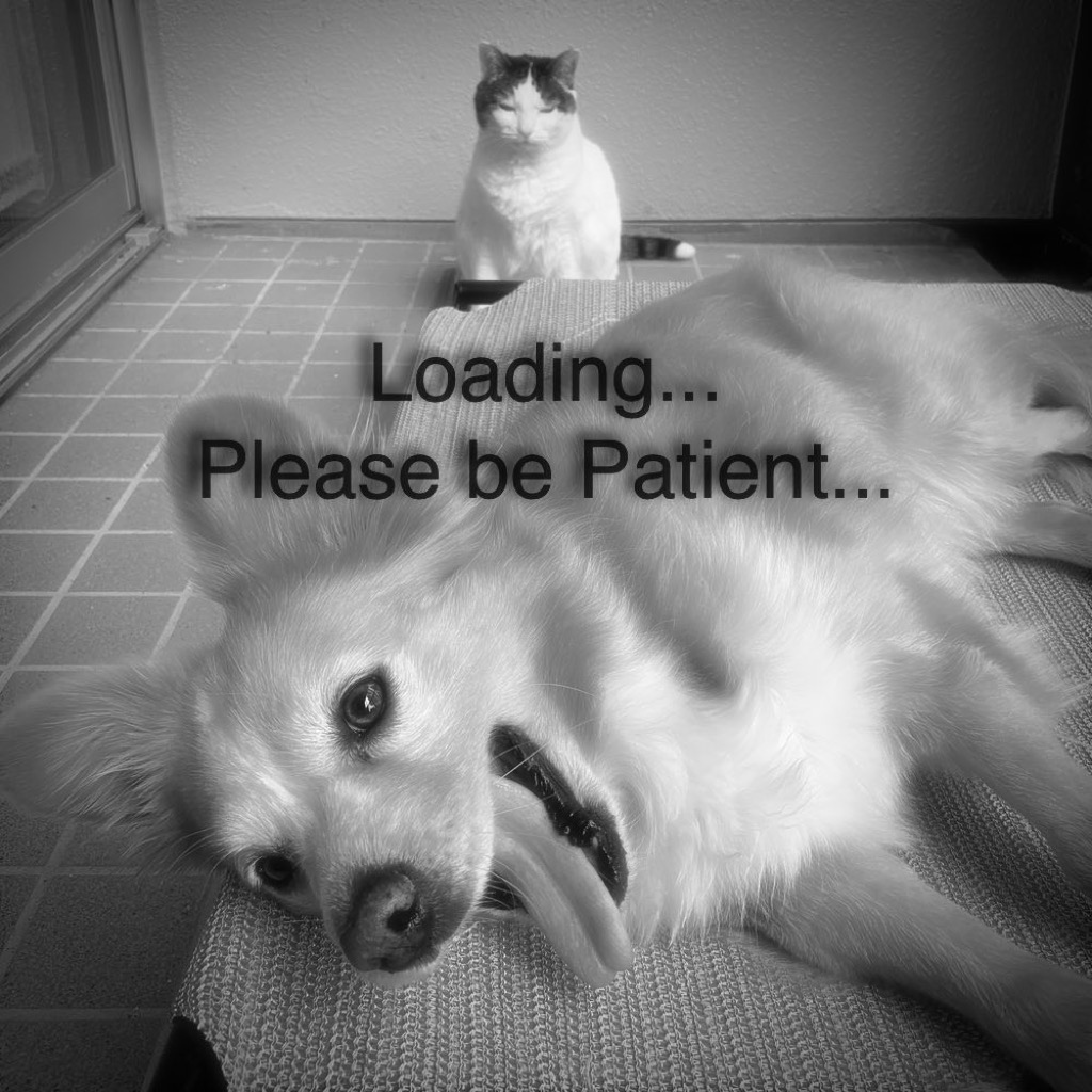 Loading, please wait...
